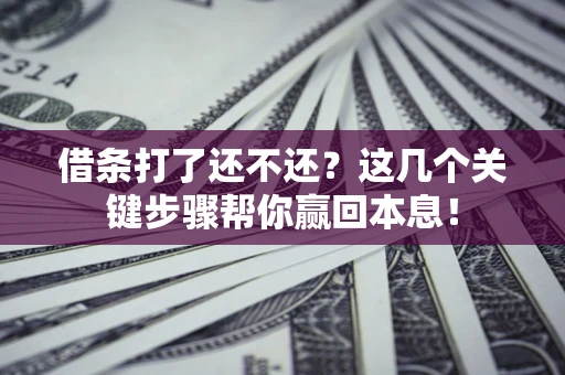 济南借条打了还不还？这几个关键步骤帮你赢回本息！