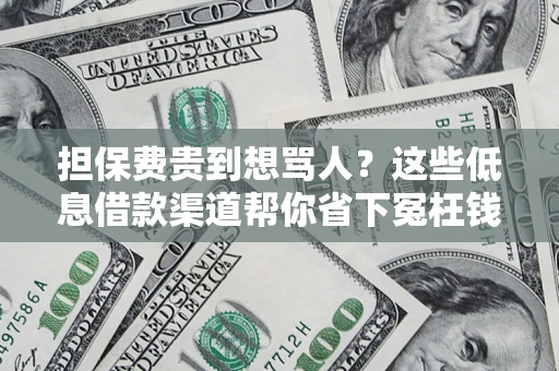 济南担保费贵到想骂人？这些低息借款渠道帮你省下冤枉钱