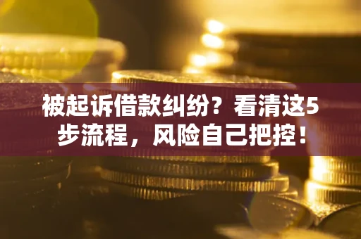 济南被起诉借款纠纷？看清这5步流程，风险自己把控！